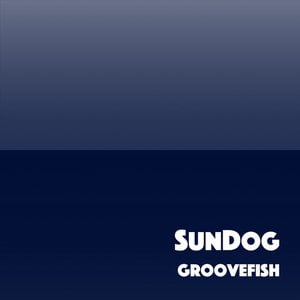 Groovefish