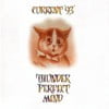 Thunder Perfect Mind