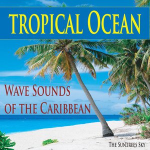 Tropical Ocean Wave Sounds of the Caribbean
