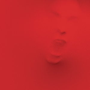 Until We Have Faces