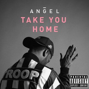 Take You Home