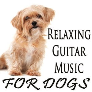 Relaxing Guitar Music for Dogs