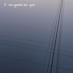 If I'm Gonna See You