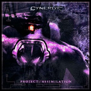 Project: Assimilation