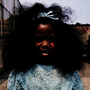 Black Terry Cat