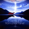 Sharp Guitars From A Flat Planet