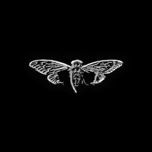 Cicada 3301