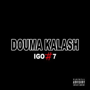 Igo 7