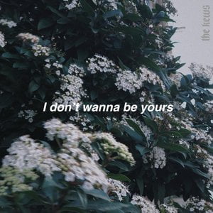 I Don't Wanna Be Yours