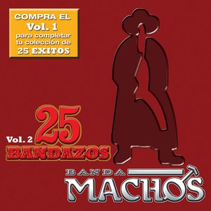25 Bandazos de Machos (Vol. 2) [USA]