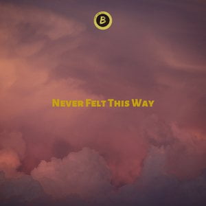 Never Felt This Way