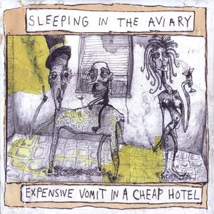 Expensive Vomit In A Cheap Hotel