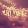 Can't Love Me (feat. Jackson Breit)