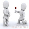 Robot Nation