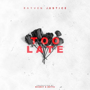 Too Late - Single