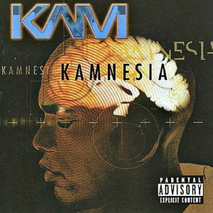 Kamnesia