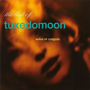 No Tears Lyrics By Tuxedomoon