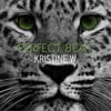 Perfect Beat