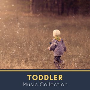 " Fun-Packed Toddler Music Collection "