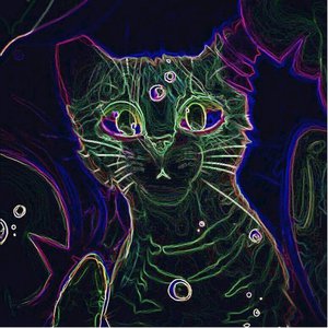 Cats and Koi Ponds