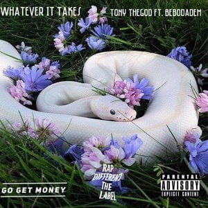 Whatever It Takes
