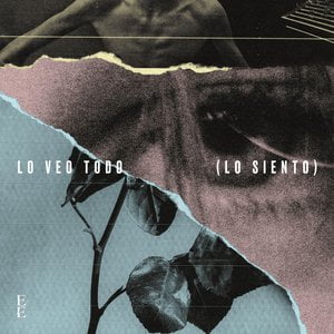 Lo Veo Todo (Lo Siento)