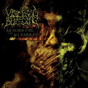 Absorbing The Disarray