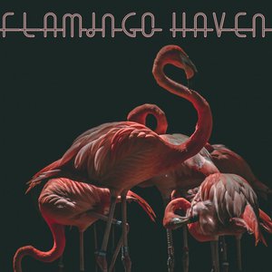 Flamingo Haven