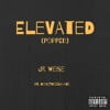 Elevated [Popped]