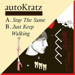 Stay The Same Lyrics By Autokratz
