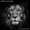 Citizen Way