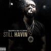 Still Havin