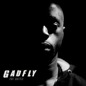 Gadfly