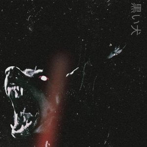BLK DOG.