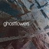 Ghostflowers