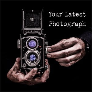 Your Latest Photograph