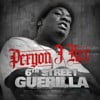 6th Street Guerrilla