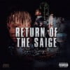Return of the Saige