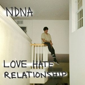 Love Hate Relationship