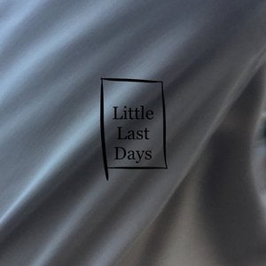 Little Last Days