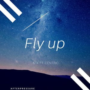 Fly Up