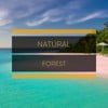 # 1 Album: Natural Forest