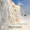 3D Audio Textures of Birds & Water