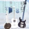 Songs Only a Musician Could Love
