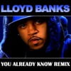 You Already Know (Remix)