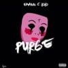 The Purge
