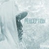 Perception