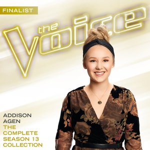 The Complete Season 13 Collection (The Voice Performance)
