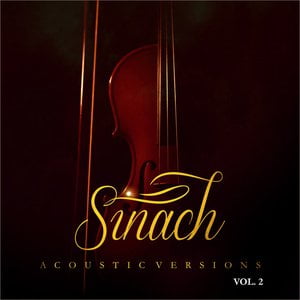 Acoustic Versions Vol. 2