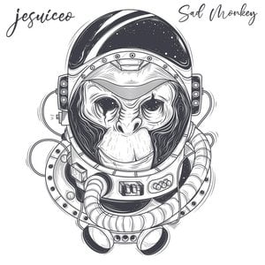 Sad Monkey